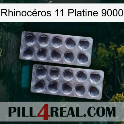 Rhinocéros 11 Platine 9000 31